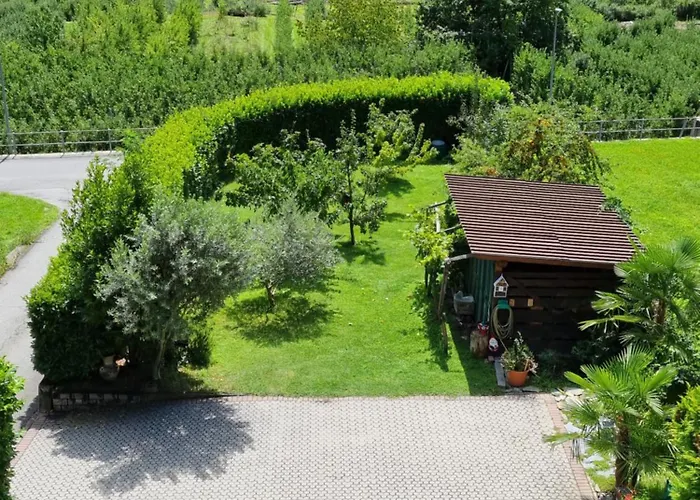 Il Grappolo