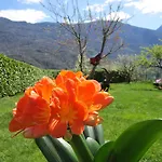 Il Grappolo Bianzone