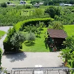 Il Grappolo