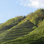 住宿加早餐酒店 Il格拉珀露住宿加早餐酒店