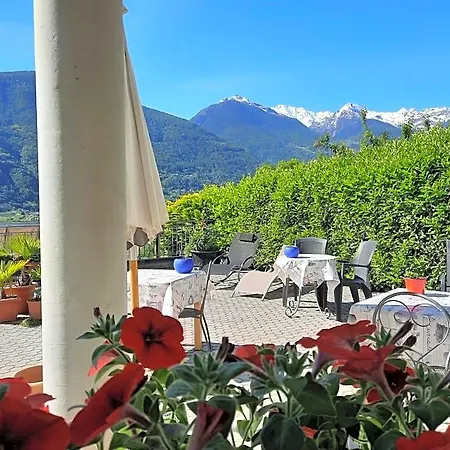 Il Grappolo 3*