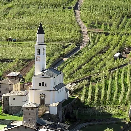 Il Grappolo 3*
