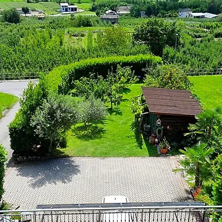 Frühstückspension Il Grappolo Bianzone