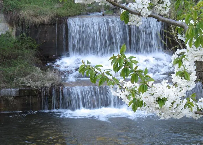 Il Grappolo Oda ve Kahvaltı 3*